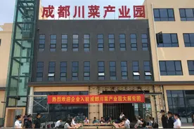 成都川菜产业园标准厂房一期建成投用图片
