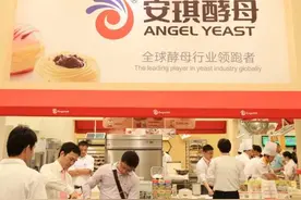 发酵之母安琪详细分析图片