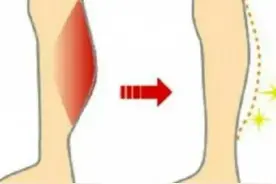 哪些方法可以瘦腿？图片