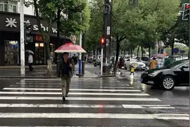 汉寿县曝光一批闯红灯、不走斑马线的行人图片