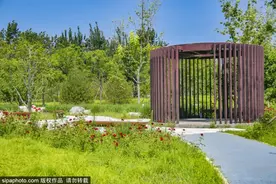 免费！这个公园有小白鸭，大人也能玩滑梯~图片
