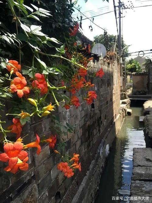 城里厢迎来大利好,或将拆迁?宁波奉化城基路将要进行拓宽