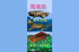 石破天惊山海惊，惊解《山海经》(三)图片