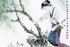 散文随笔｜由红楼梦浅谈红颜薄命图片