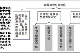 耻骨联合区域相关解剖学进展及内固定治疗的生物力学特征图片