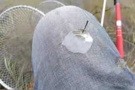 钓鱼时挂到大鱼鳞片？做出这几点改善后让它上岸图片