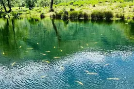 安岳，成渝之心，天然气储量一万亿方以上，会成为下一个大庆吗？图片