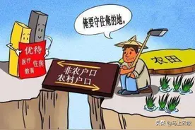 农业户口福利！农村逐步统一规划住房建设！预计2035年完成图片