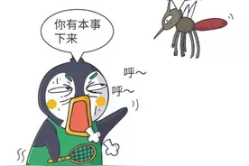关于蚊子的有趣小知识，你学会了吗？图片