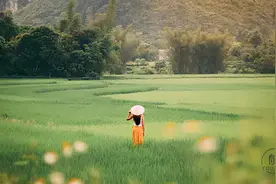 中年人最好的活法，不过“浪费”两个字图片