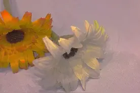 双向暗恋的细节表现|不是你的自导自演！图片