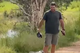 近5米鳄鱼爬到岸上晒太阳挡住人行道，澳洲男子淡定赶它下水图片