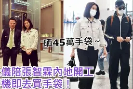 张智霖夫妇低调现身，袁咏仪手提45万包包抢镜，刚下飞机又去买包图片