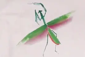 国画写意螳螂，精致教学步骤，看一遍太喜欢了！图片