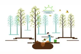 “前人栽树，后人拔树” 这糊涂事儿干的可真不值当！！图片