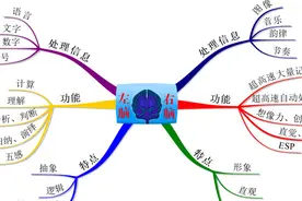 还在怪自己孩子大脑发育慢？这些右脑开发小游戏，你都知道吗？图片