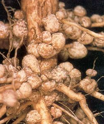 高中生物学习经验分享