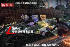 安阳、武汉两起狗咬人事件的40个教训图片