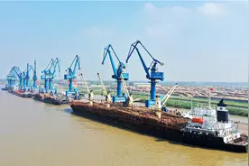 再访新民洲图片