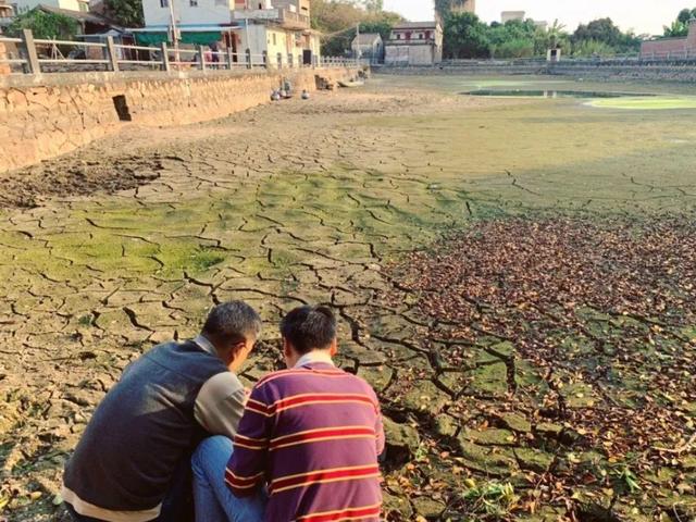 养分含量超高的营养土，自己在家也能做，省下一大笔 买花钱