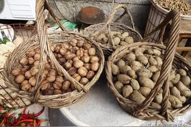 胶东乡村记忆：过去烟台农民盛苹果，多用棉槐条子来编筐图片