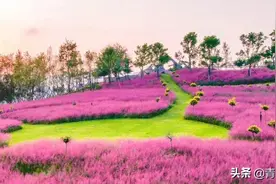 这个国家级名单出炉，青岛西海岸新区3个园区（基地）入选！图片