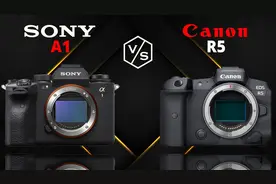 索尼A1 vs佳能EOS R5：买贵的还是买对的？数据说了算图片