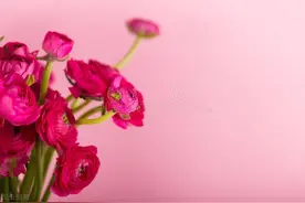 检验婚姻最好的标准：睡觉图片
