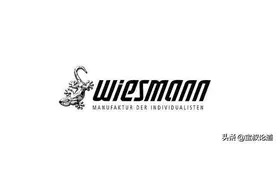 GDBOIL格德宝车厂追踪｜Wiesmann 威兹曼图片