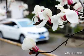 看上去特别迷人，回头率非常高，最擅长偷男人心的三个星座女图片