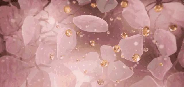 身体乳可以擦牛皮鞋吗 身体乳可以擦牛皮鞋吗