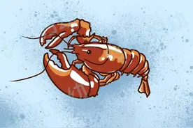 吃货孕妈的困惑：我怀孕了，还能吃小龙虾吗？图片