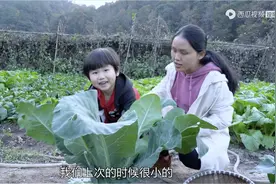 三胎妈妈自述：我是怎么做到带三个孩子还能养家的？图片