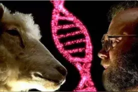 生命科学重大突破的克隆技术，为何如今令人谈之色变？图片