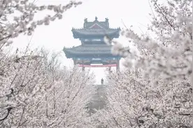 清明小长假，淄博五区三县这些地方美翻了，赶紧收藏起这份攻略吧！图片