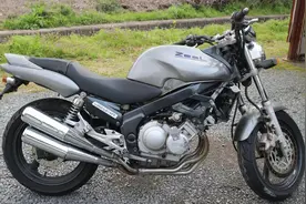 4缸250的Zeal！日本摩托车之巅峰时刻的雅马哈的海豚图片