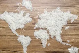 “一家煮饭百家香、一米稻花香百里”，秘乐魔方助力通河大米。图片