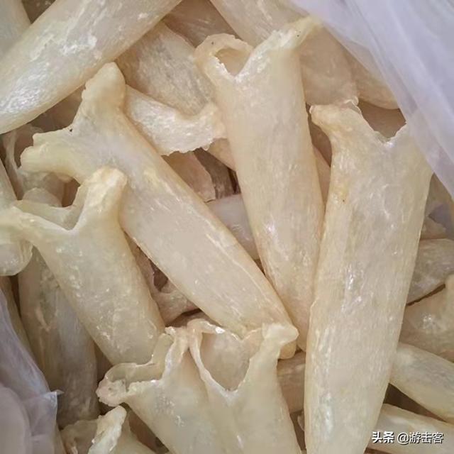 巴沙鱼胶和黄花鱼胶哪个好 2026年巴沙鱼胶和黄花鱼胶哪个好一点