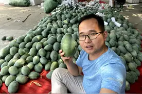 芒果收到没熟怎么办？小董教你2个小技巧，芒果熟得快还好吃图片