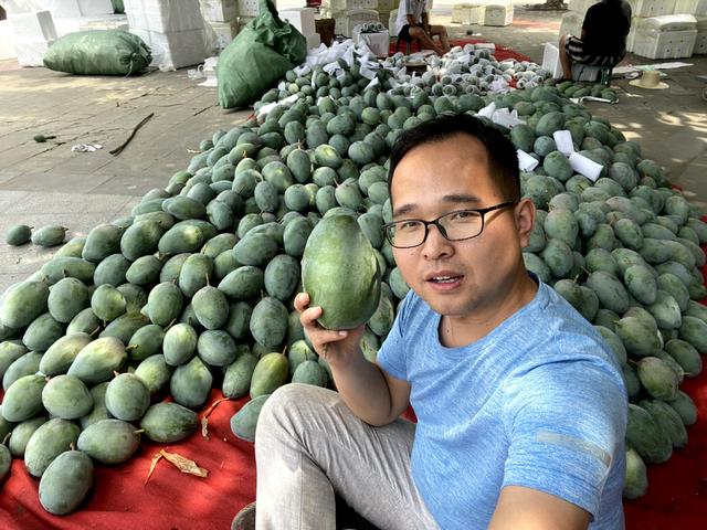 芒果怎样做既简单又好吃（芒果收到没熟怎么办小董教你2个小技巧）