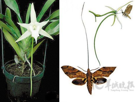 高中生物学习经验分享