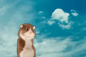 在手机上桌面放一只小仓鼠，有人碰你手机它就会跳出来图片