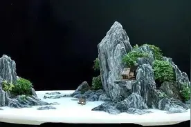 “盆景”二字初现在宋朝，盆景的起源却可追溯到原始人图片