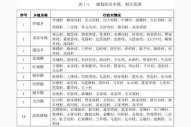 重磅！覆盖全县！永登又一新规划出炉，民生领域迎来大发展图片