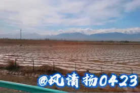 厉害了，新疆棉 （21——157）图片