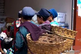 《大凉山印象诗两首》，野鸟闹窗栖晚树，晨鸡报晓是谁家图片
