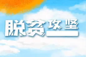 名单出炉！资阳这些集体和个人获四川脱贫攻坚先进表彰图片