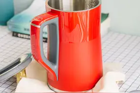 四档控温，满足家庭多样化饮水需求——摩飞恒温热水壶图片