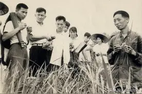 袁隆平院士的不育株被毁，就在伤心欲绝时，两个学生带来了好消息图片