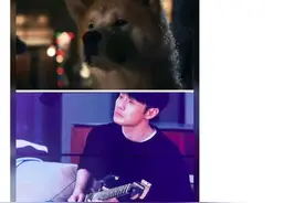 杨丞琳李荣浩独特秀恩爱，微博晒对比图，看来是亲老婆没错了图片